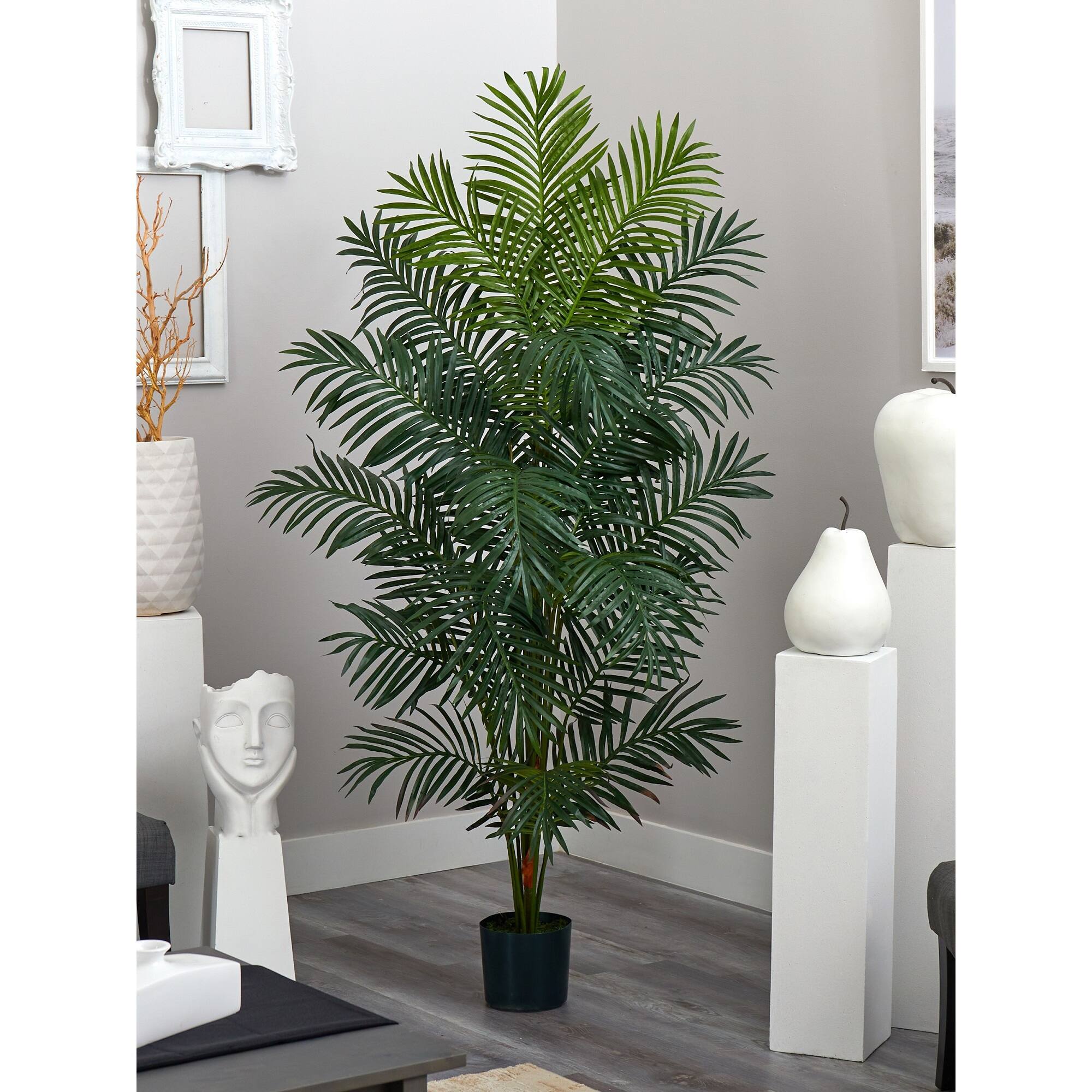 7ft. Potted Paradise Palm